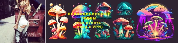 СК Абдулино
